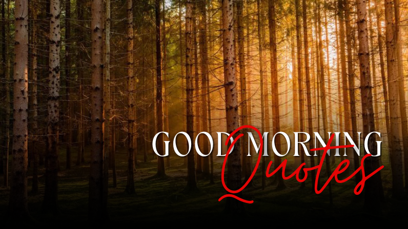 good morning inspirational quotes about life and struggles