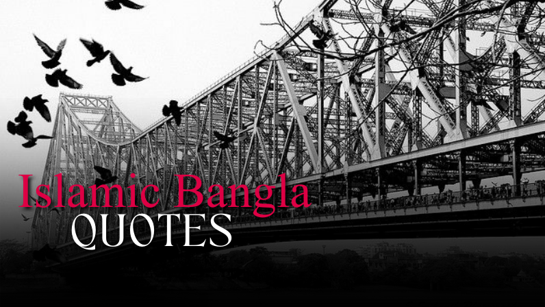 Status in Bangla